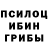 Галлюциногенные грибы мухоморы Anatolij Brusnik