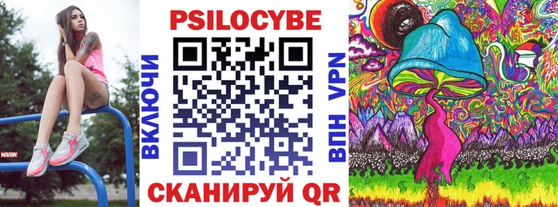даркнет наркотические препараты  Славгород  Галлюциногенные грибы GOLDEN TEACHER 
